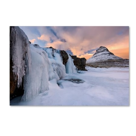 Michael Blanchette Photography 'Frozen Canopy' Canvas Art,22x32